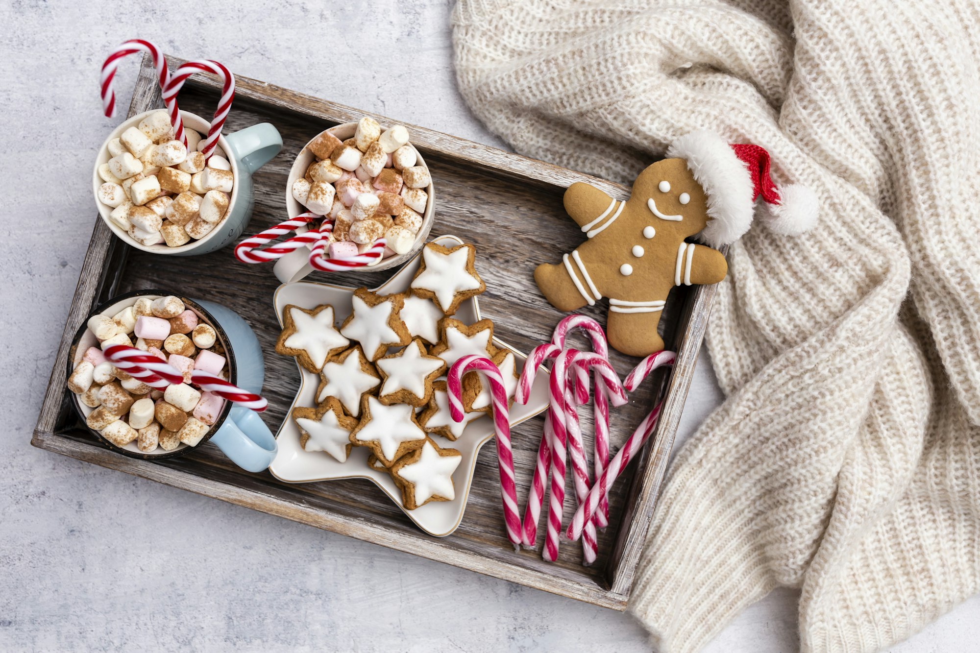 Gingerbread with mug of hot chocolate and christmas candy cane.